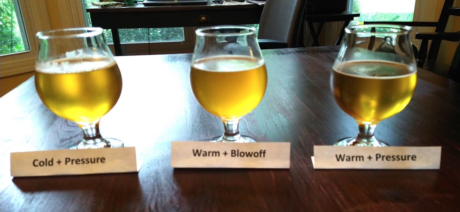 Fermenting a Kolsch Under Pressure MoreBeer